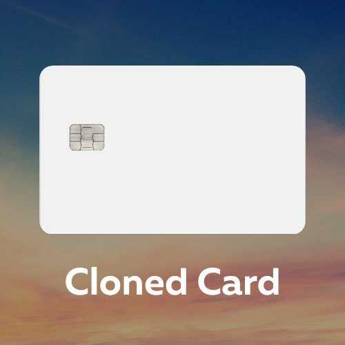 1 Cloned Card - Total Balance $2500-3500